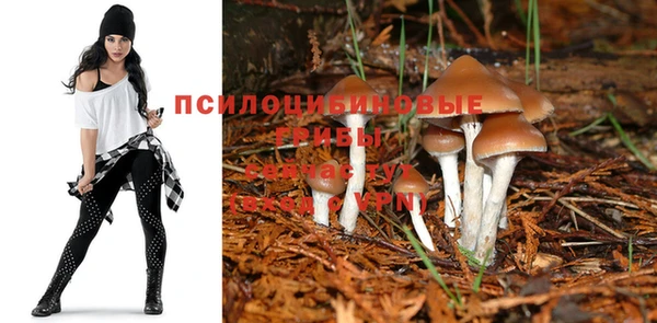 ECSTASY Балахна